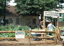 Chatham Avenue Community Garden, Summer Sprout Gardening Program