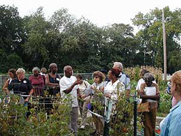 Master Gardener Lloyd Evans, leads a garden tour at Rockefeller Community Garden