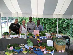 EcoVillage market gardeners, Barbara Strauss, Marilynn Bronson, John and Olivia Yokie